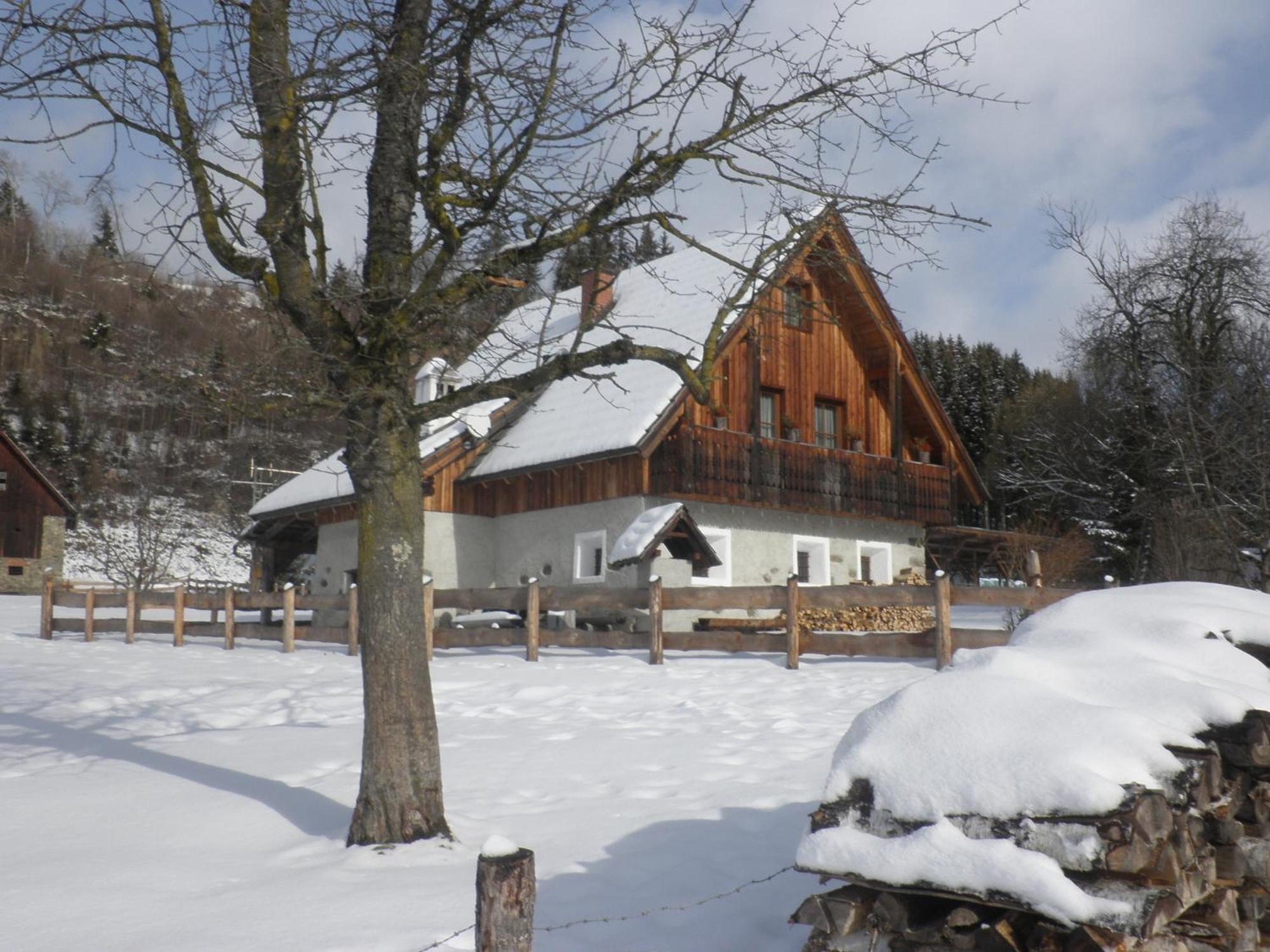 Ferienhaus "Zur Alten Schmiede" Mariahof Екстер'єр фото